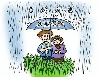 5b374ca0a6a35.jpg 微信图片_20180630172053.jpg